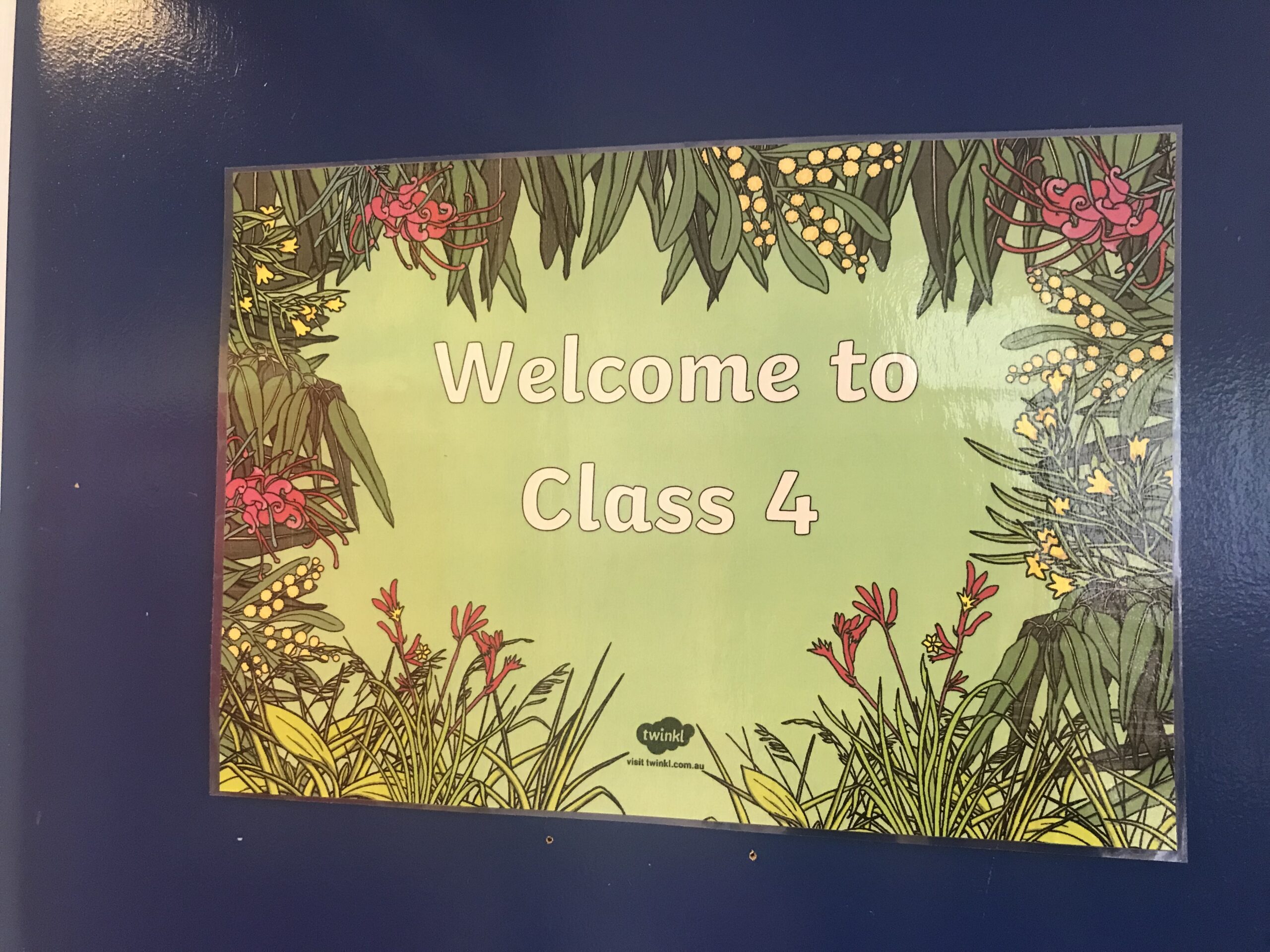 Class 4_1